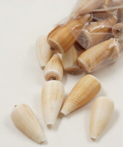Κοχύλι Φυσικό Κώνος 5-6cm 330gr