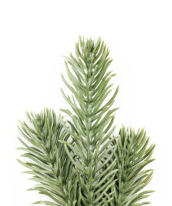 Alternative view of Κλαδί Έλατο Πλαστικό 19cm