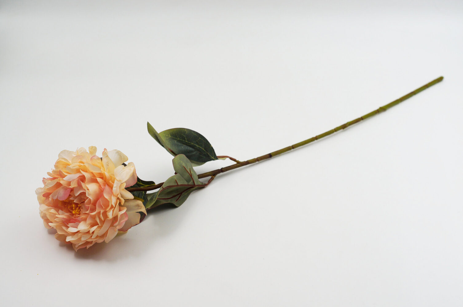 Παιώνια σε Κλαδί 61cm - Image 3