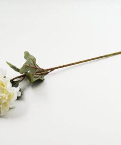 Alternative view of Παιώνια σε Κλαδί 61cm