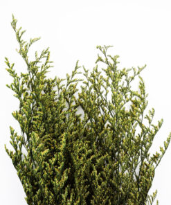Alternative view of Μπουκέτο Αποξηραμένα Κλαδιά 70cm